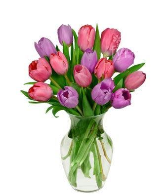 Pink and Purple Tulips -15 Stems Bouquet